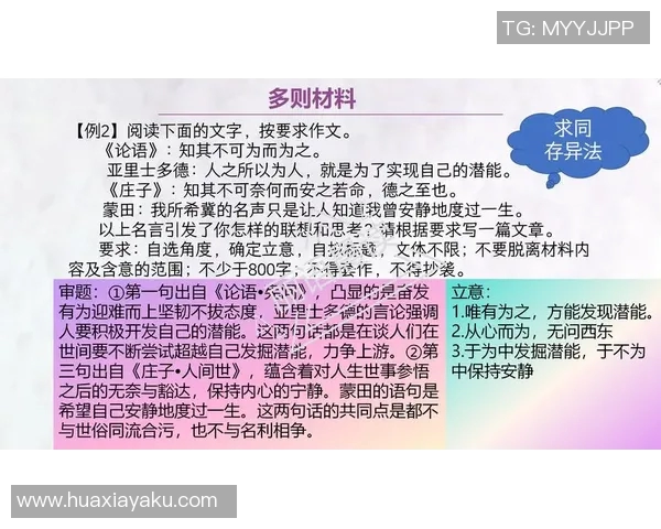 徐昕的艺术之路与人生哲学探索：从创作到生活的深刻思考与启示