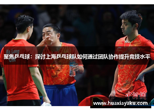 聚焦乒乓球：探讨上海乒乓球队如何通过团队协作提升竞技水平