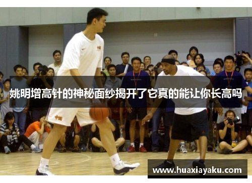 姚明增高针的神秘面纱揭开了它真的能让你长高吗