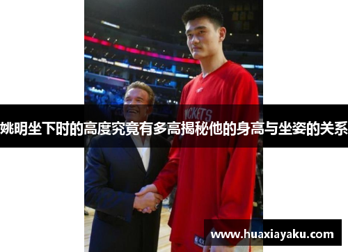 姚明坐下时的高度究竟有多高揭秘他的身高与坐姿的关系